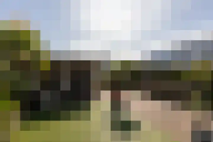 Atalanta 35 Sneek thumbnail 42