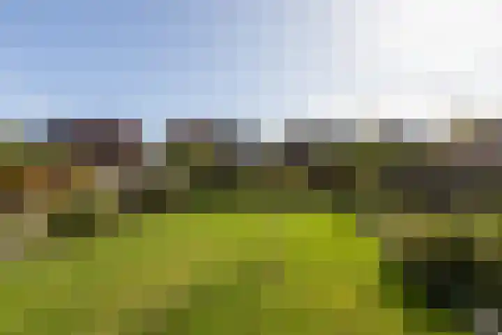 Atalanta 35 Sneek thumbnail 44