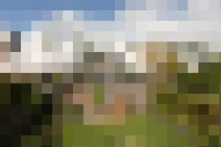 Atalanta 35 Sneek thumbnail 45