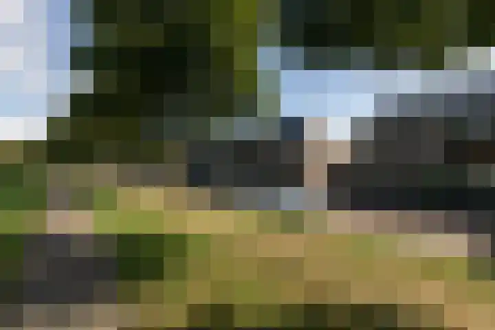 Atalanta 35 Sneek thumbnail 46