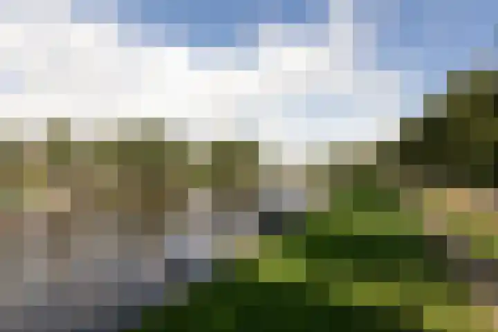 Atalanta 35 Sneek thumbnail 48