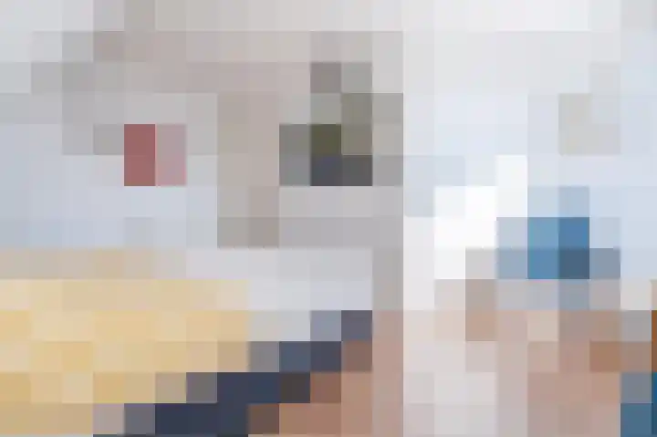 Atalanta 45 Sneek thumbnail 48