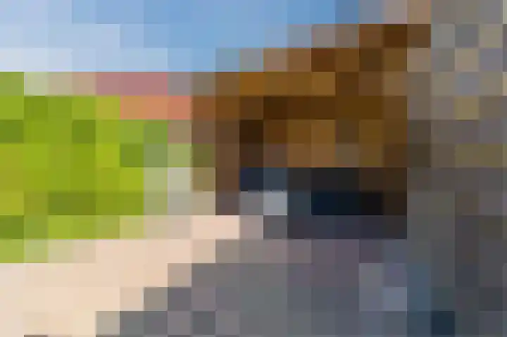 Atalanta 45 Sneek thumbnail 55