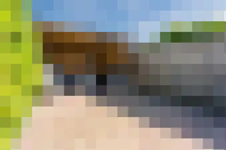 Atalanta 45 Sneek thumbnail 56