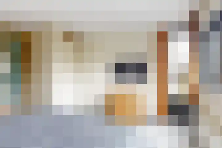 Atalanta 46 Krommenie thumbnail 17