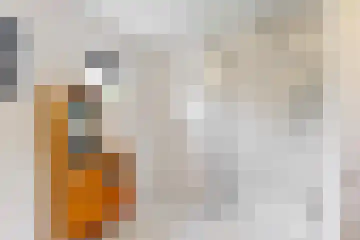 Atalanta 46 Krommenie thumbnail 19