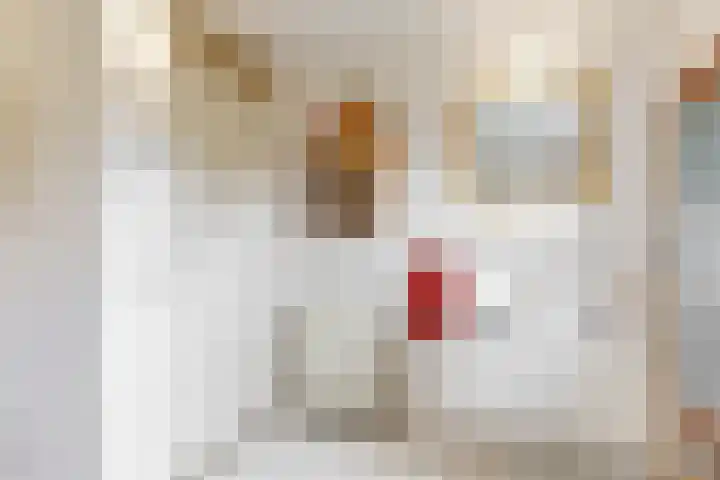 Atalanta 46 Krommenie thumbnail 21