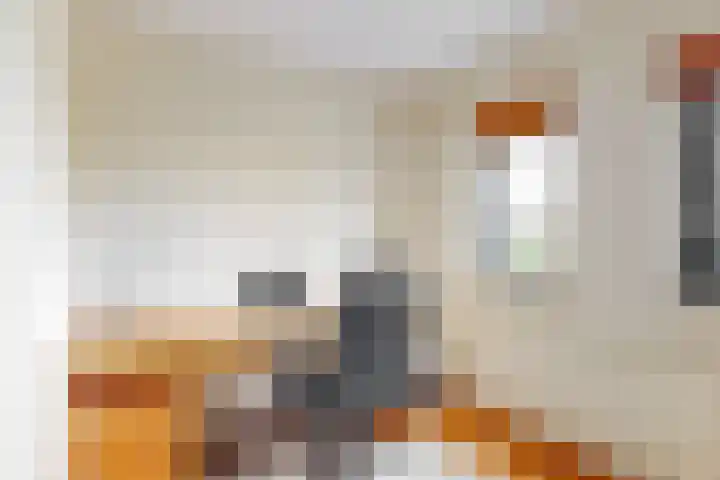 Atalanta 46 Krommenie thumbnail 22