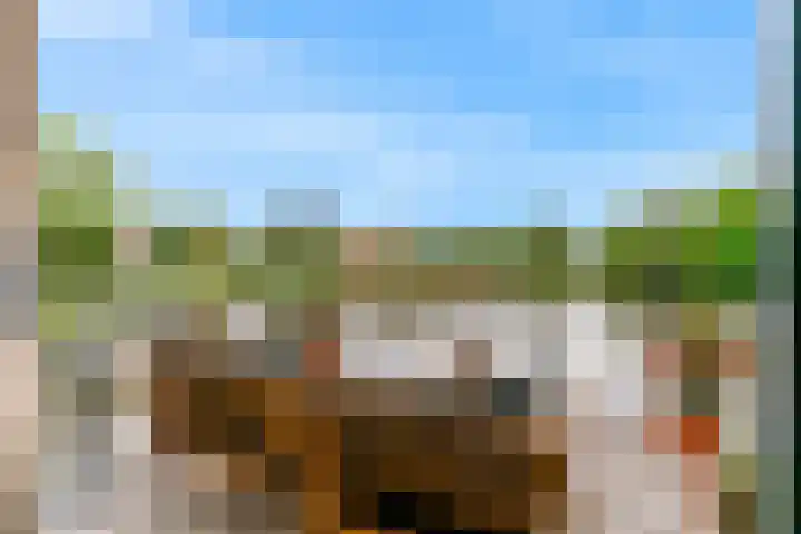 Atalanta 46 Krommenie thumbnail 27