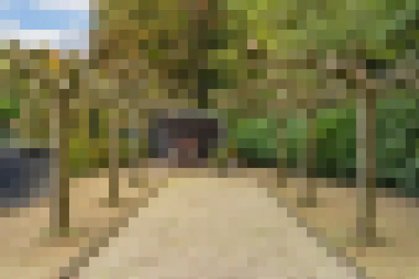 Atalanta 47 Rijen thumbnail 47