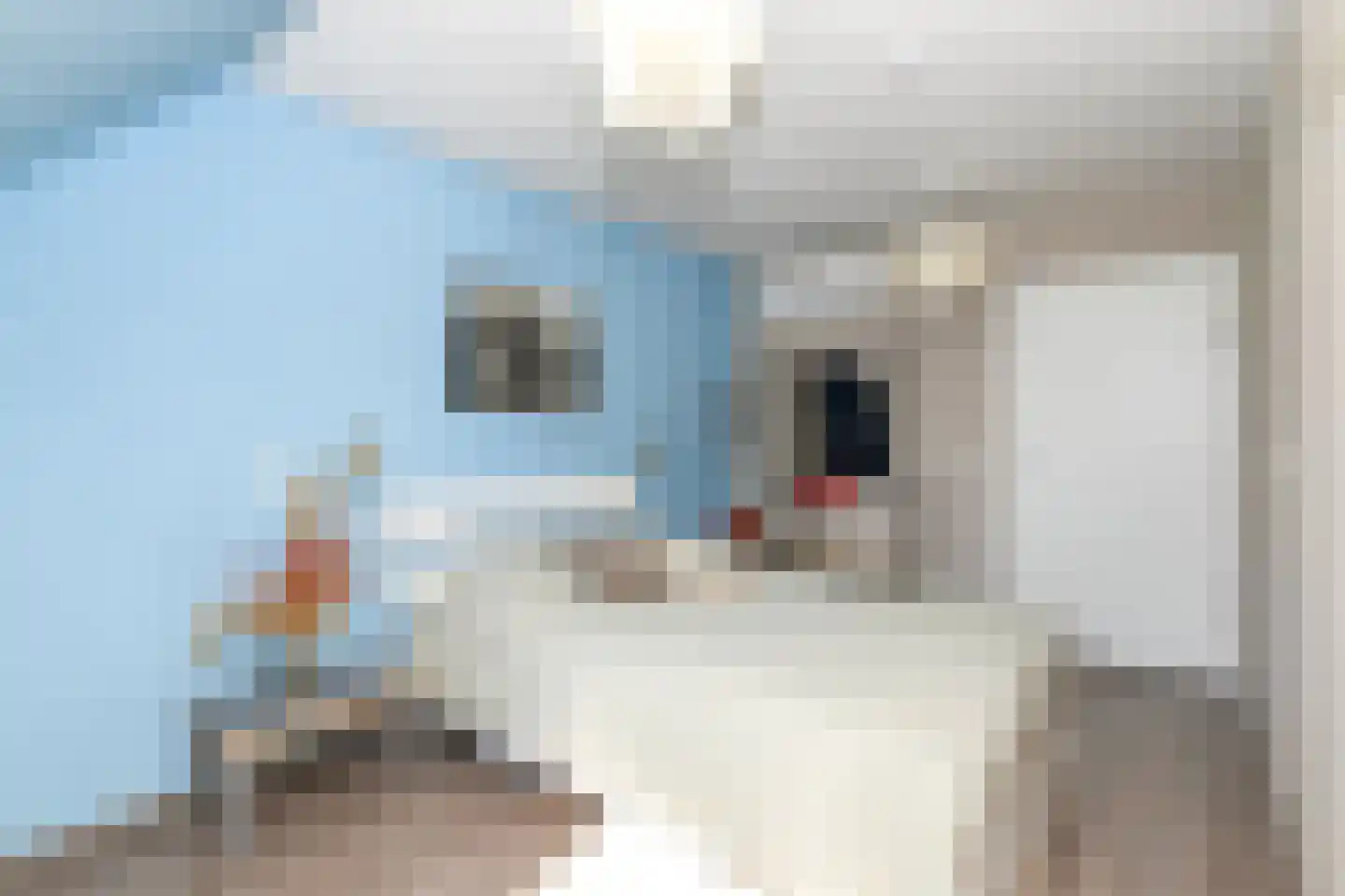 Atalanta 49 Zeewolde thumbnail 33