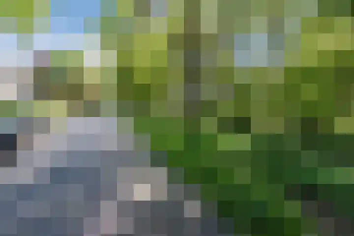 Atalanta 58 Rijen thumbnail 39