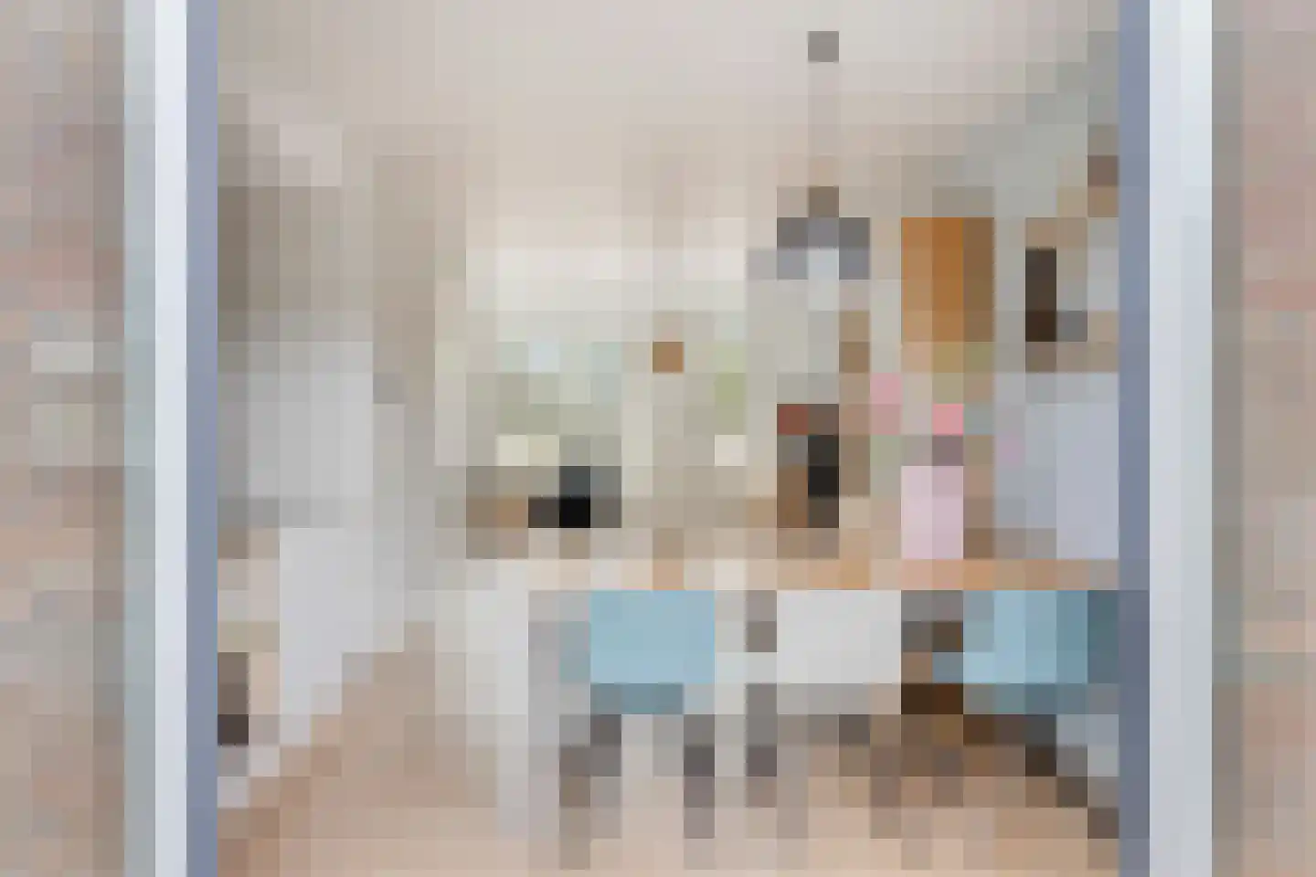 Atalanta 68 Someren thumbnail 26