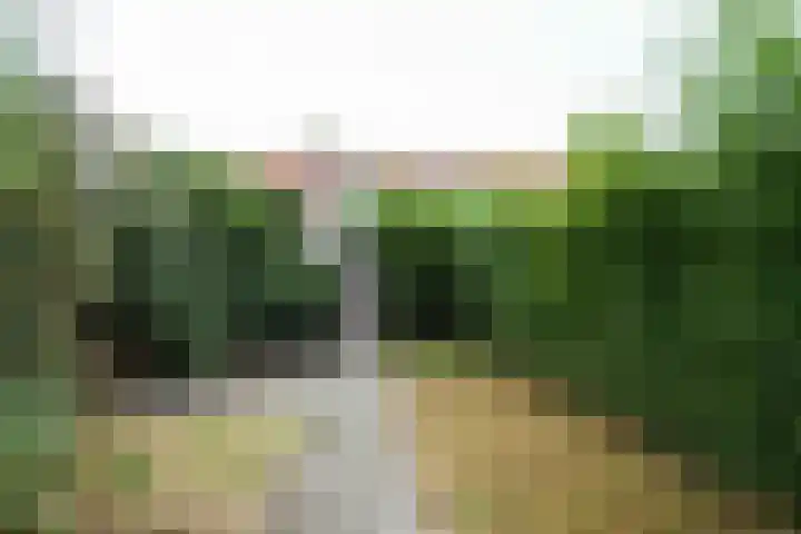 Atalanta 7 Zeewolde thumbnail 22