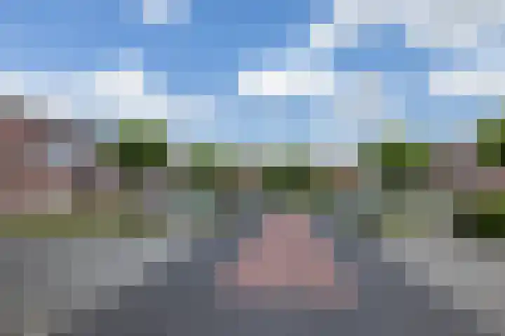 Atalanta 76 Someren thumbnail 26