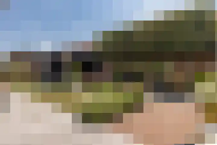Atalanta 9 Holten thumbnail 37
