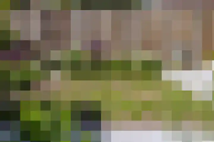 Atalanta 9 Holten thumbnail 38