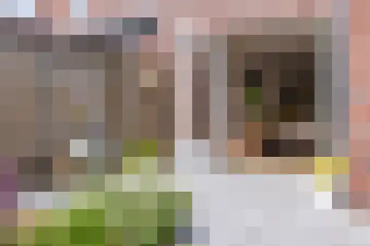 Atalanta 9 Holten thumbnail 41