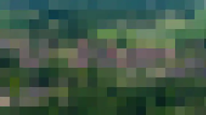 Atalanta 9 Holten thumbnail 43