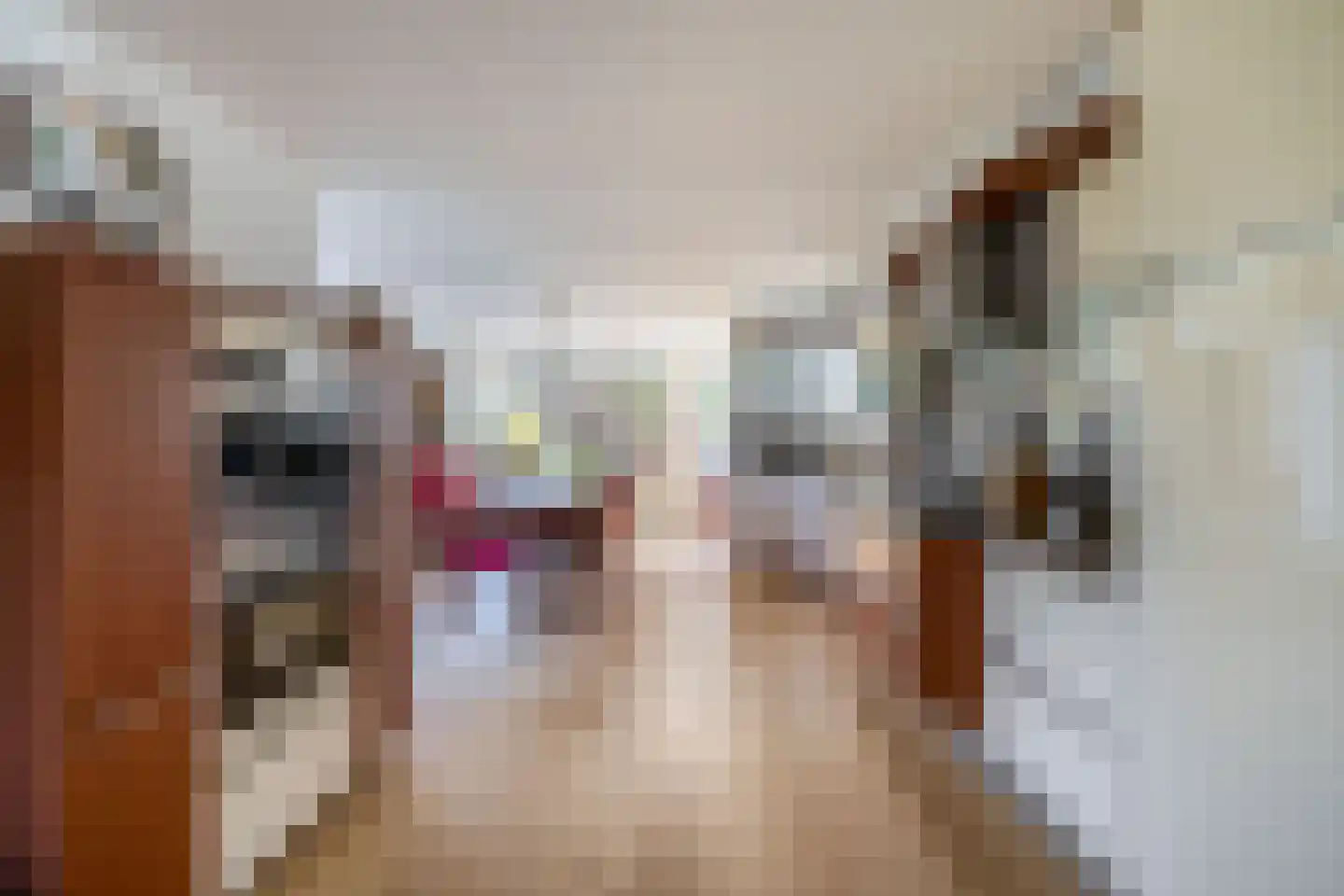 Atalanta 9 Krommenie thumbnail 15