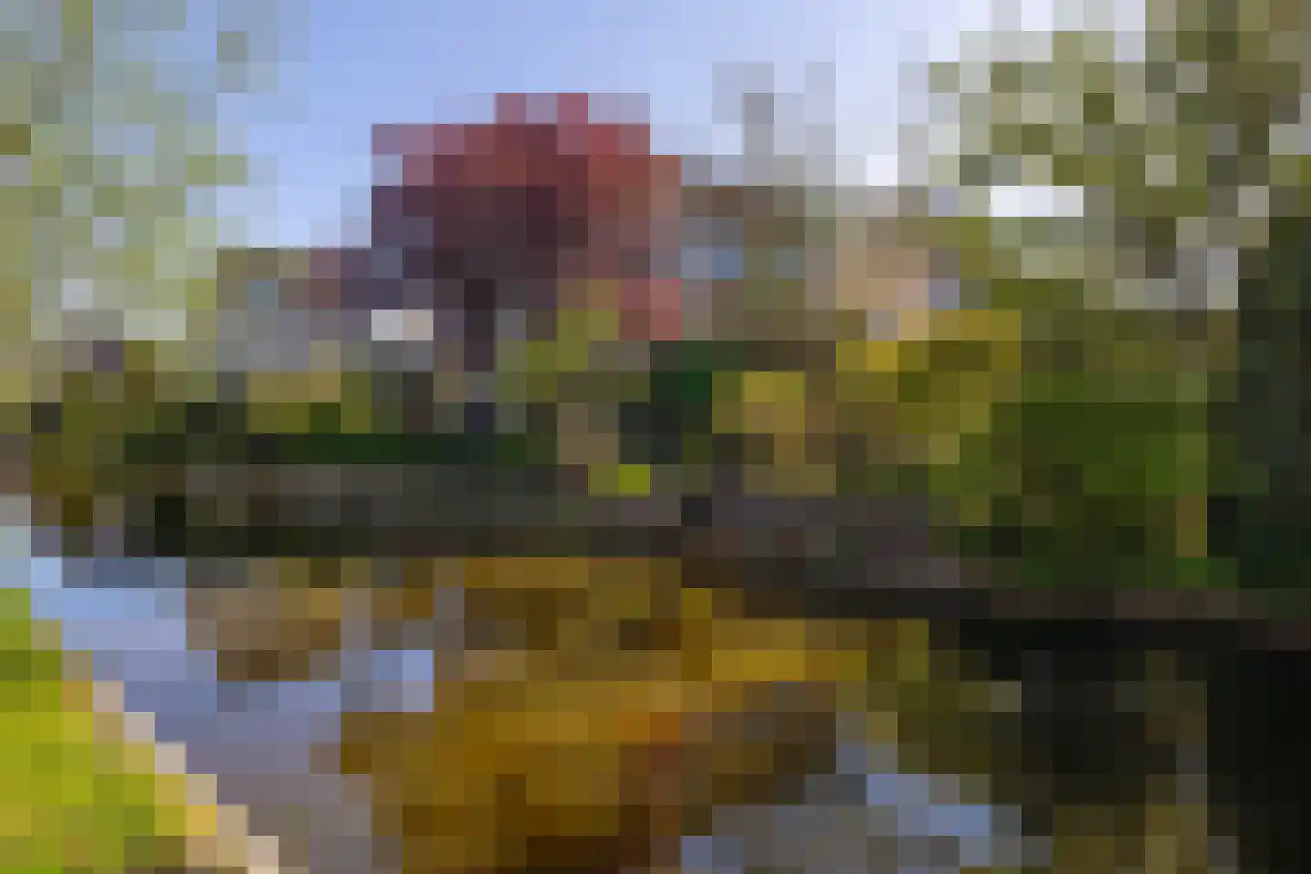 Atalanta 9 Krommenie thumbnail 4