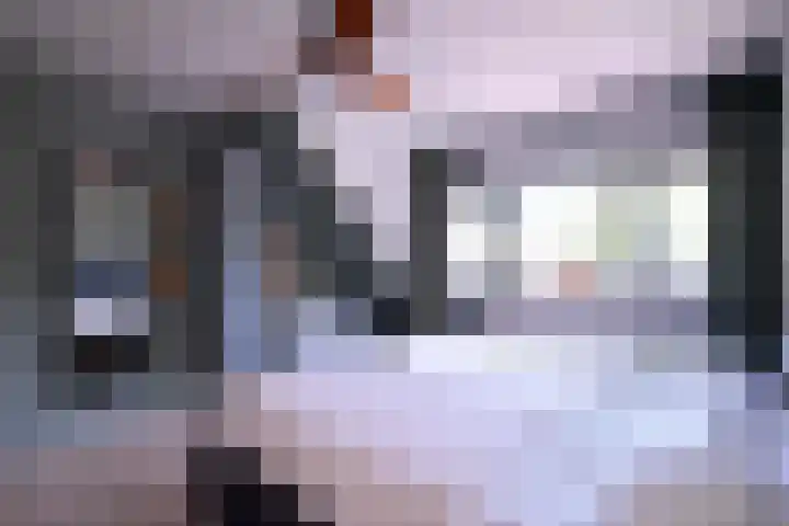 Atalanta 91 Deventer thumbnail 20