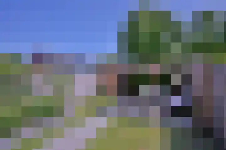 Atalanta 91 Deventer thumbnail 34
