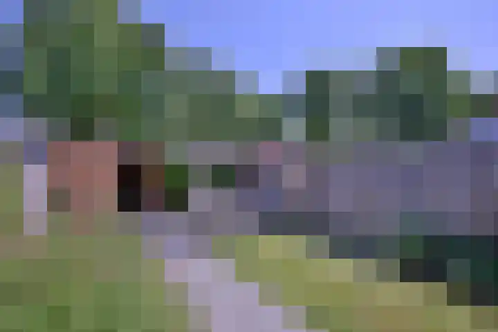 Atalanta 91 Deventer thumbnail 35
