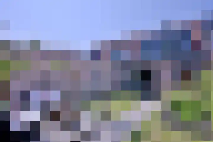 Atalanta 91 Deventer thumbnail 36