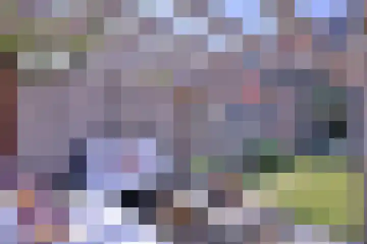 Atalanta 91 Deventer thumbnail 37