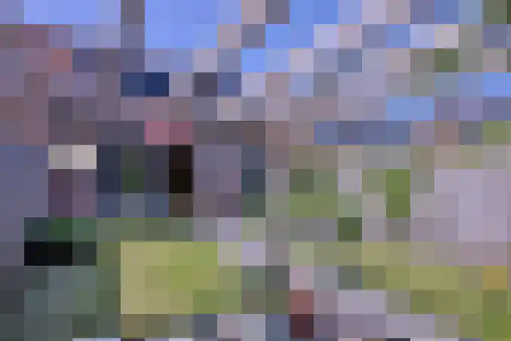Atalanta 91 Deventer thumbnail 38