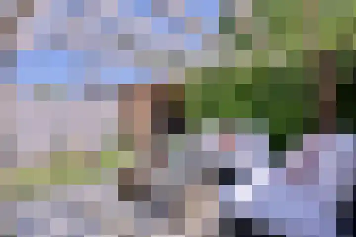 Atalanta 91 Deventer thumbnail 39