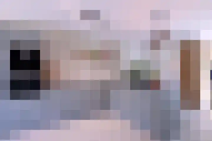 Atalanta 91 Deventer thumbnail 5