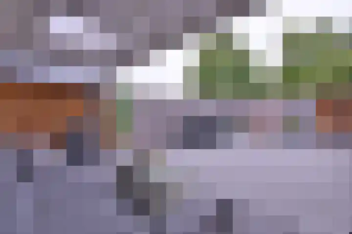 Atalanta 95 Deventer thumbnail 28