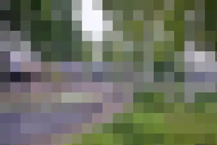 Atalanta 95 Deventer thumbnail 32