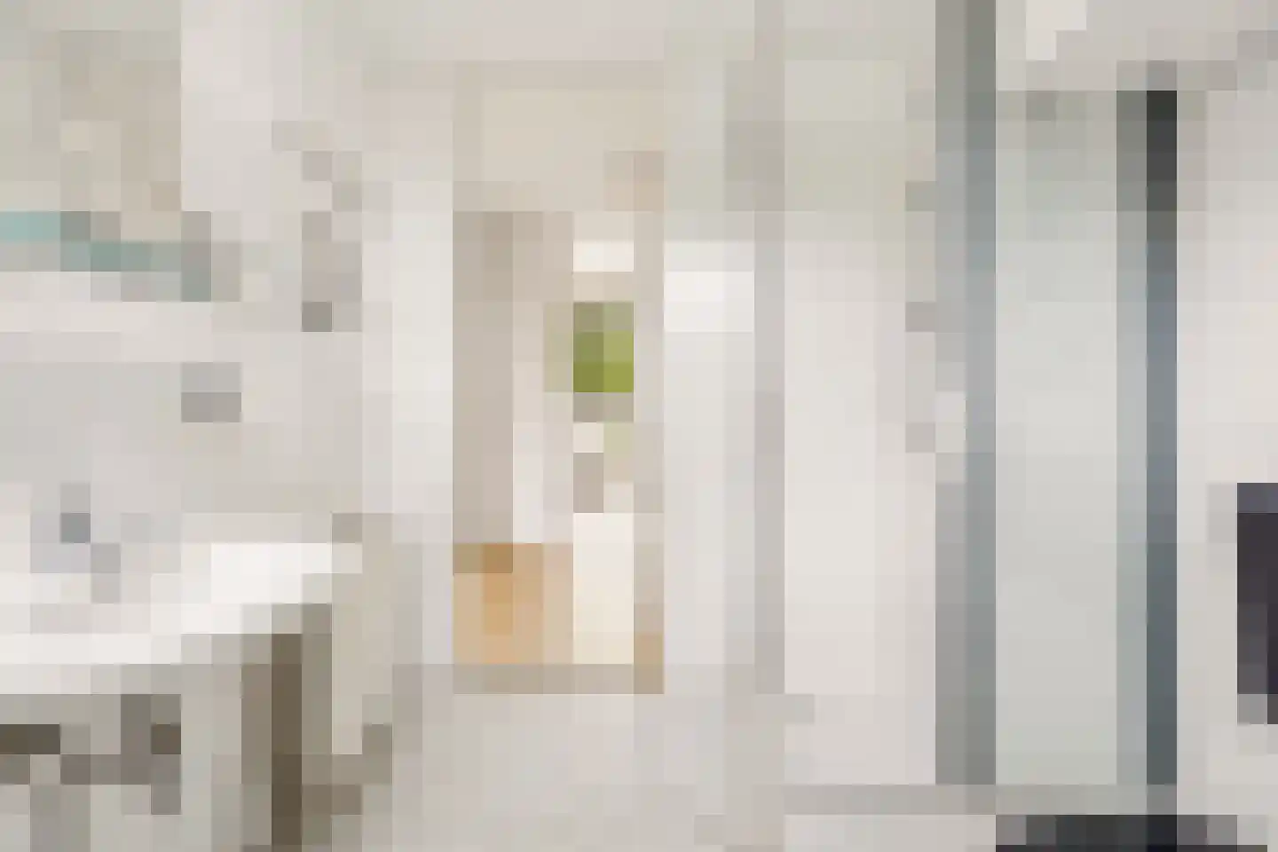 Atalantaberm 10 Houten thumbnail 38