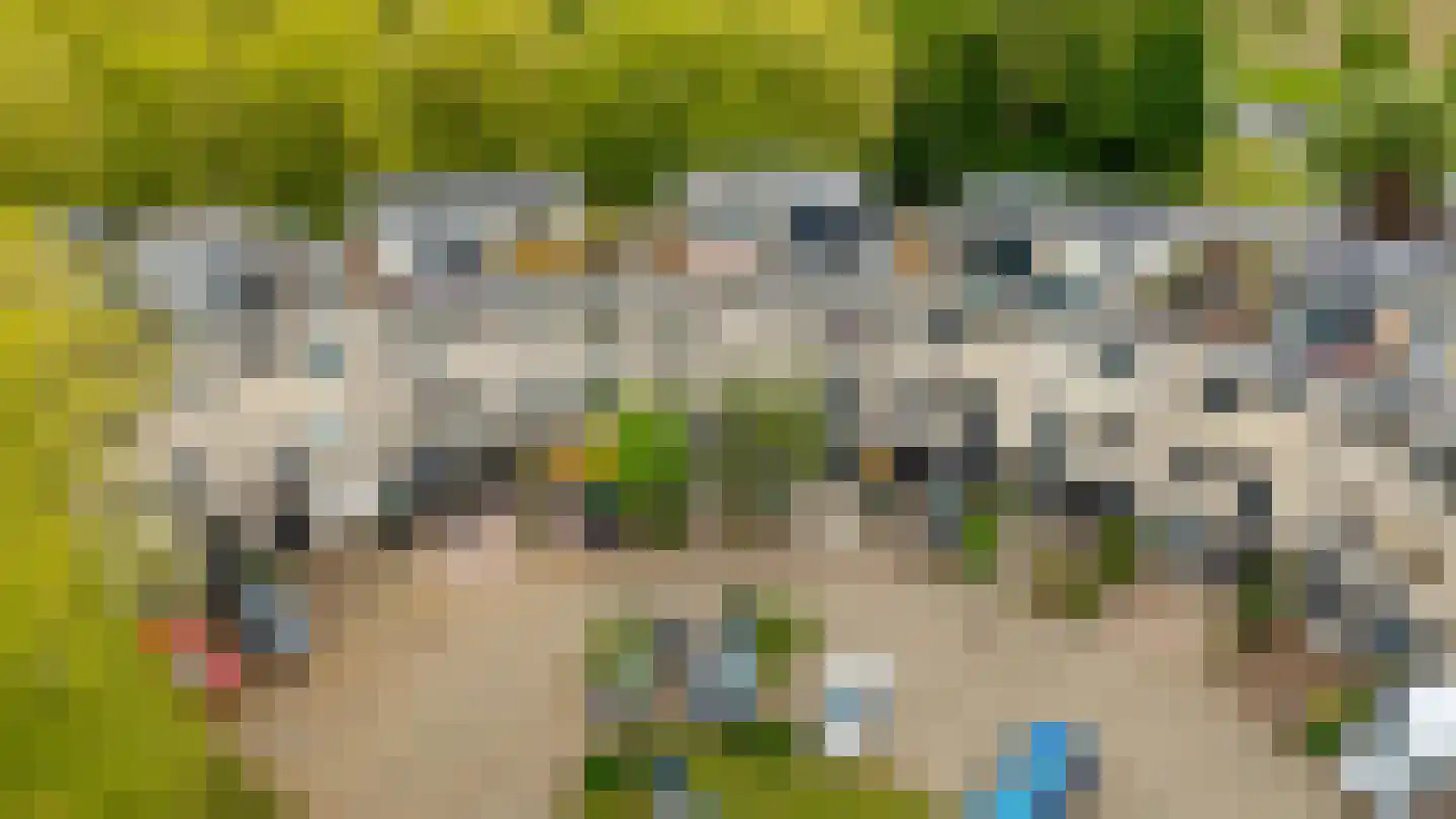 Atalantaberm 10 Houten thumbnail 48