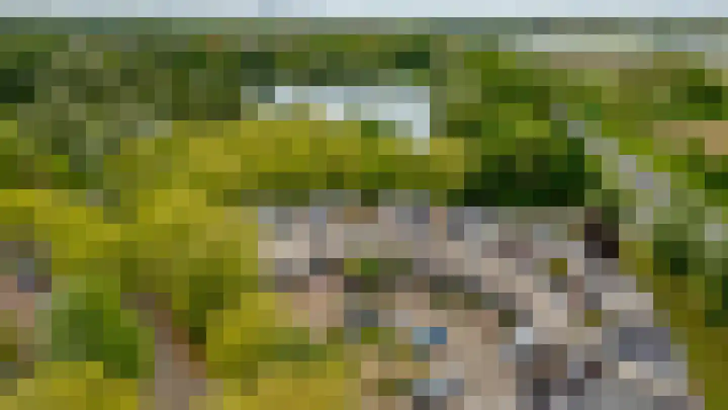 Atalantaberm 10 Houten thumbnail 49
