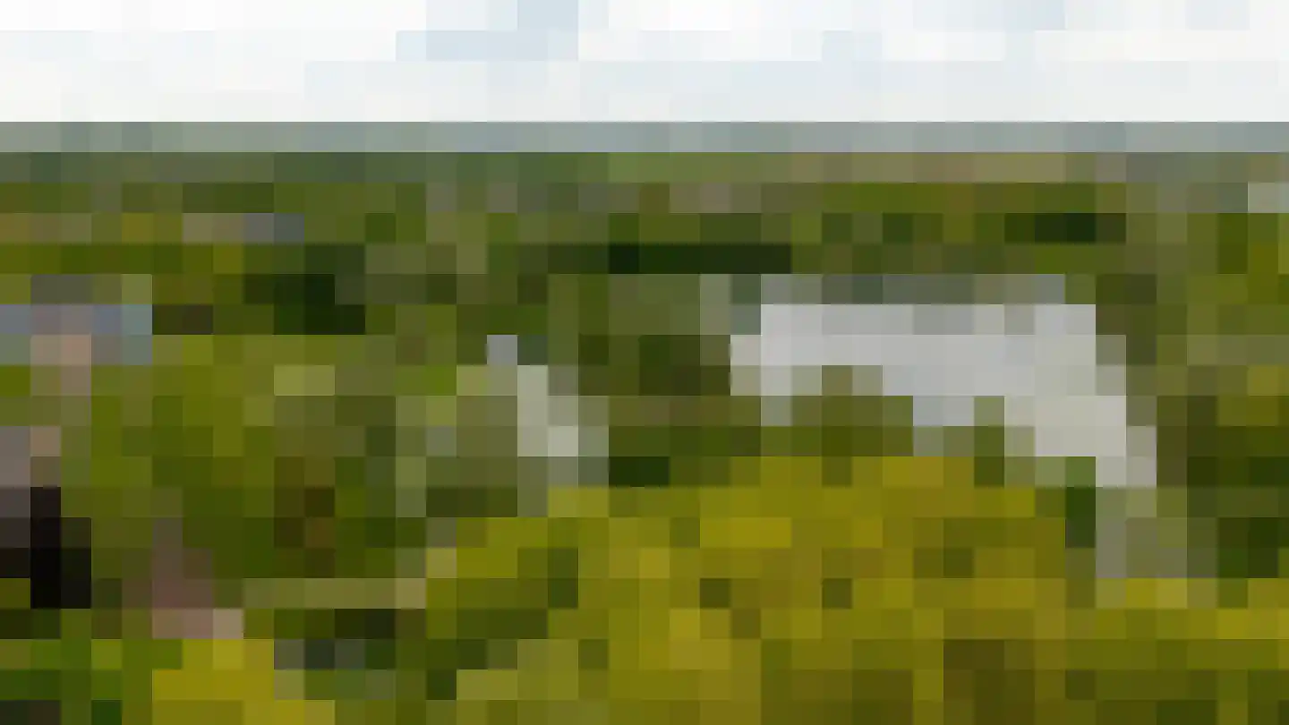 Atalantaberm 10 Houten thumbnail 50