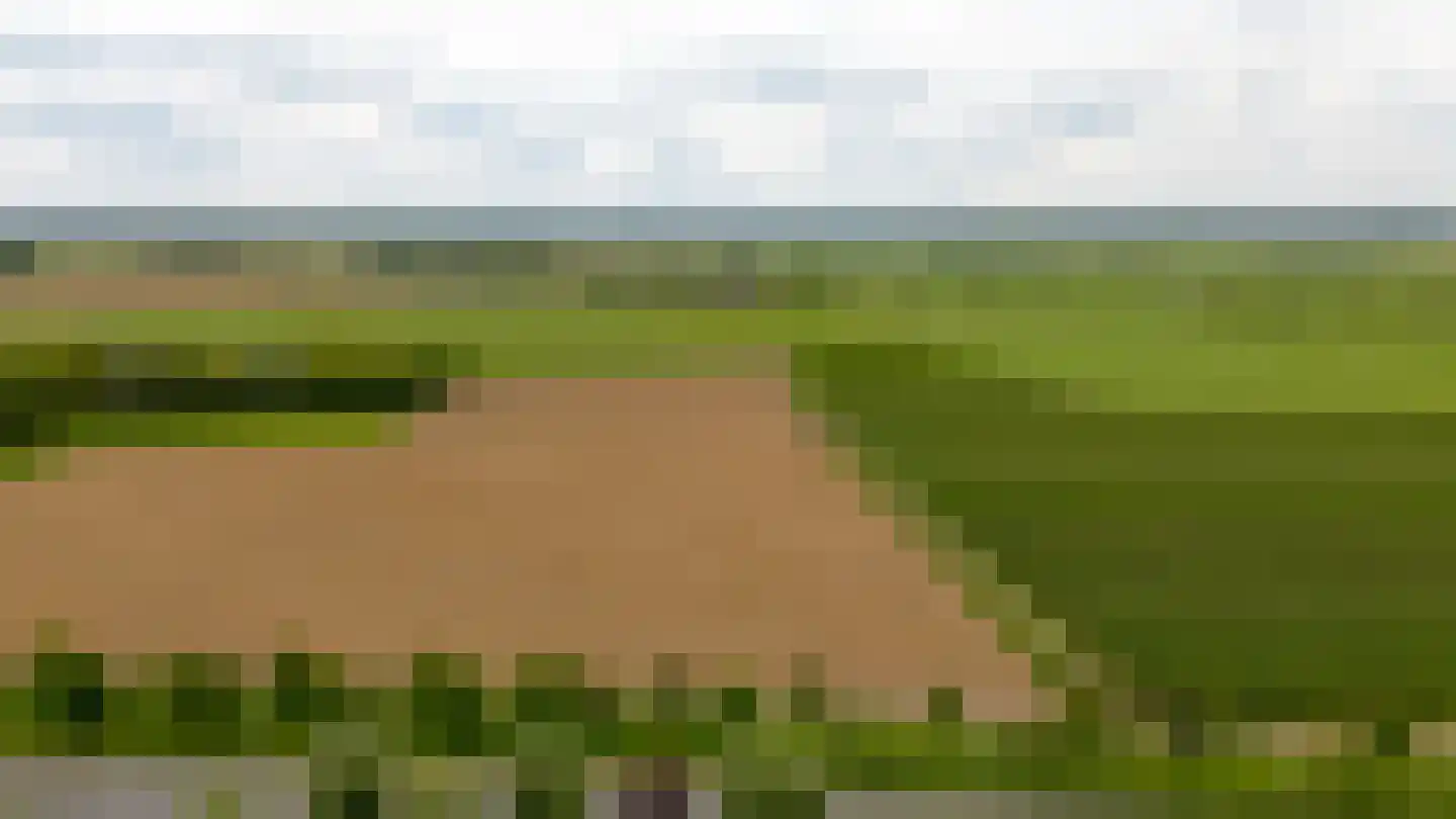 Atalantaberm 10 Houten thumbnail 51