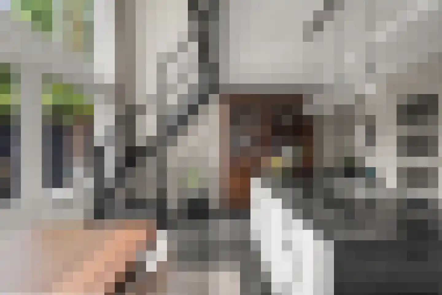 Atalantaberm 3 Houten thumbnail 10