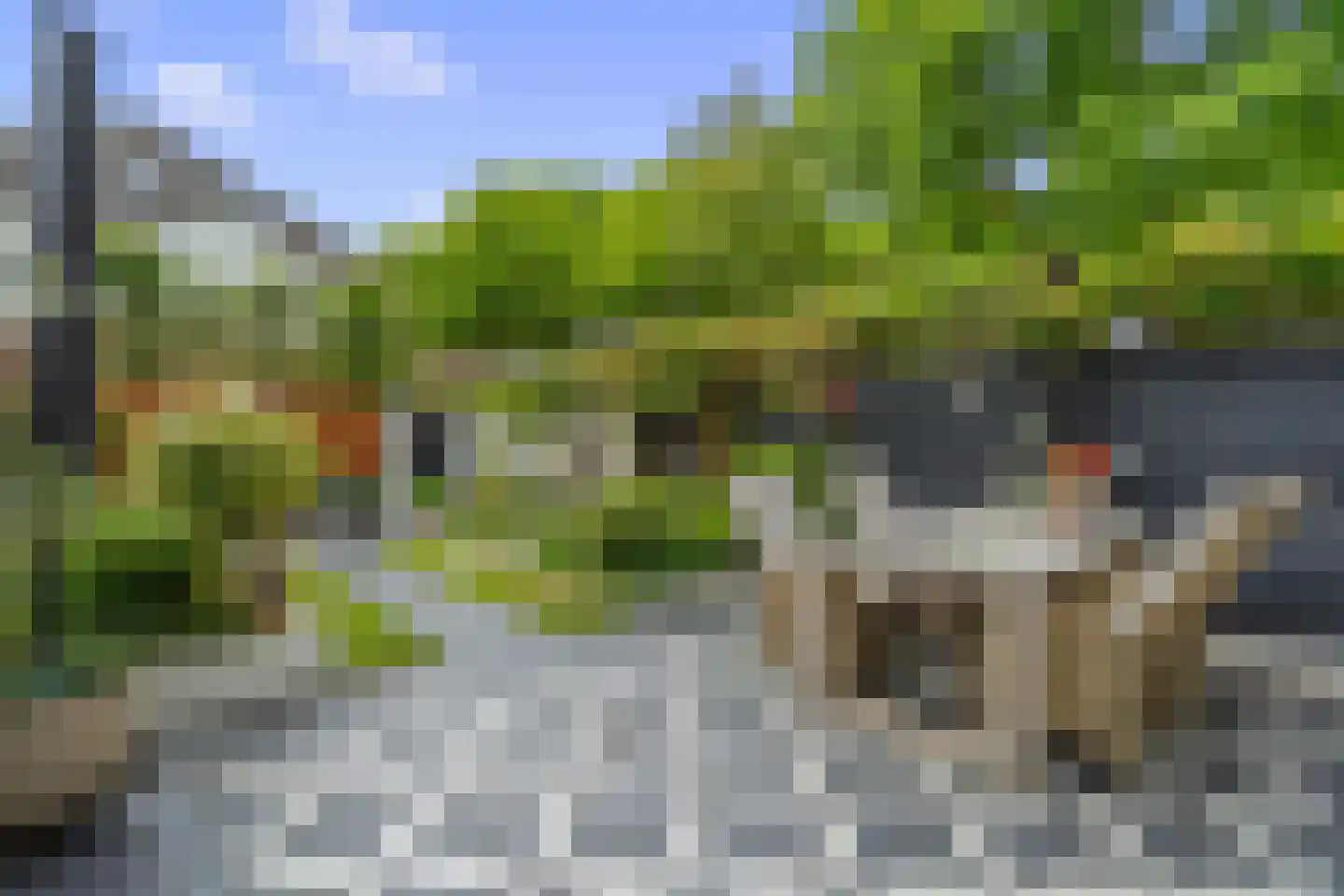 Atalantaberm 3 Houten thumbnail 13