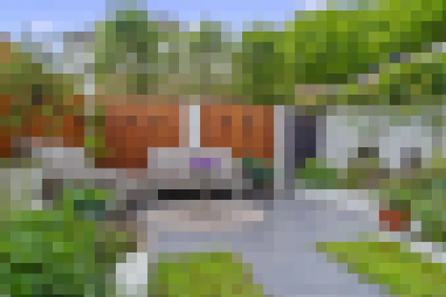 Atalantaberm 3 Houten thumbnail 15