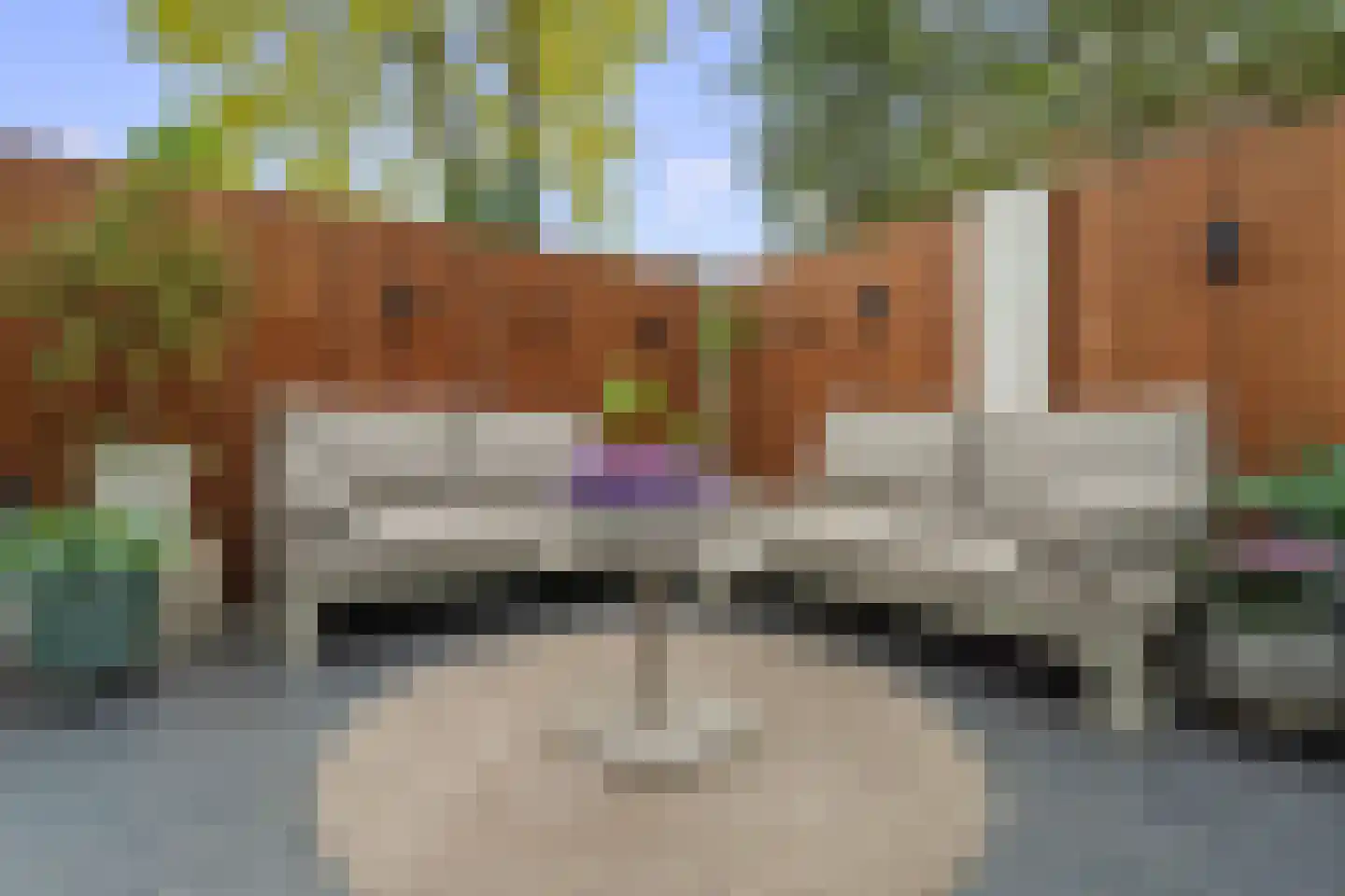 Atalantaberm 3 Houten thumbnail 17