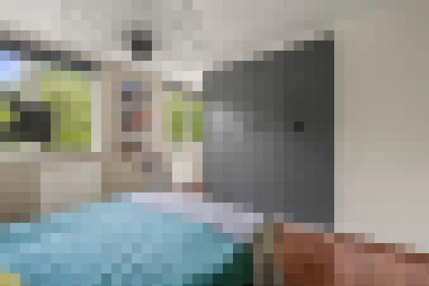 Atalantaberm 3 Houten thumbnail 35