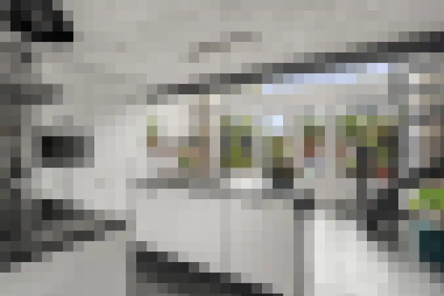 Atalantaberm 3 Houten thumbnail 4