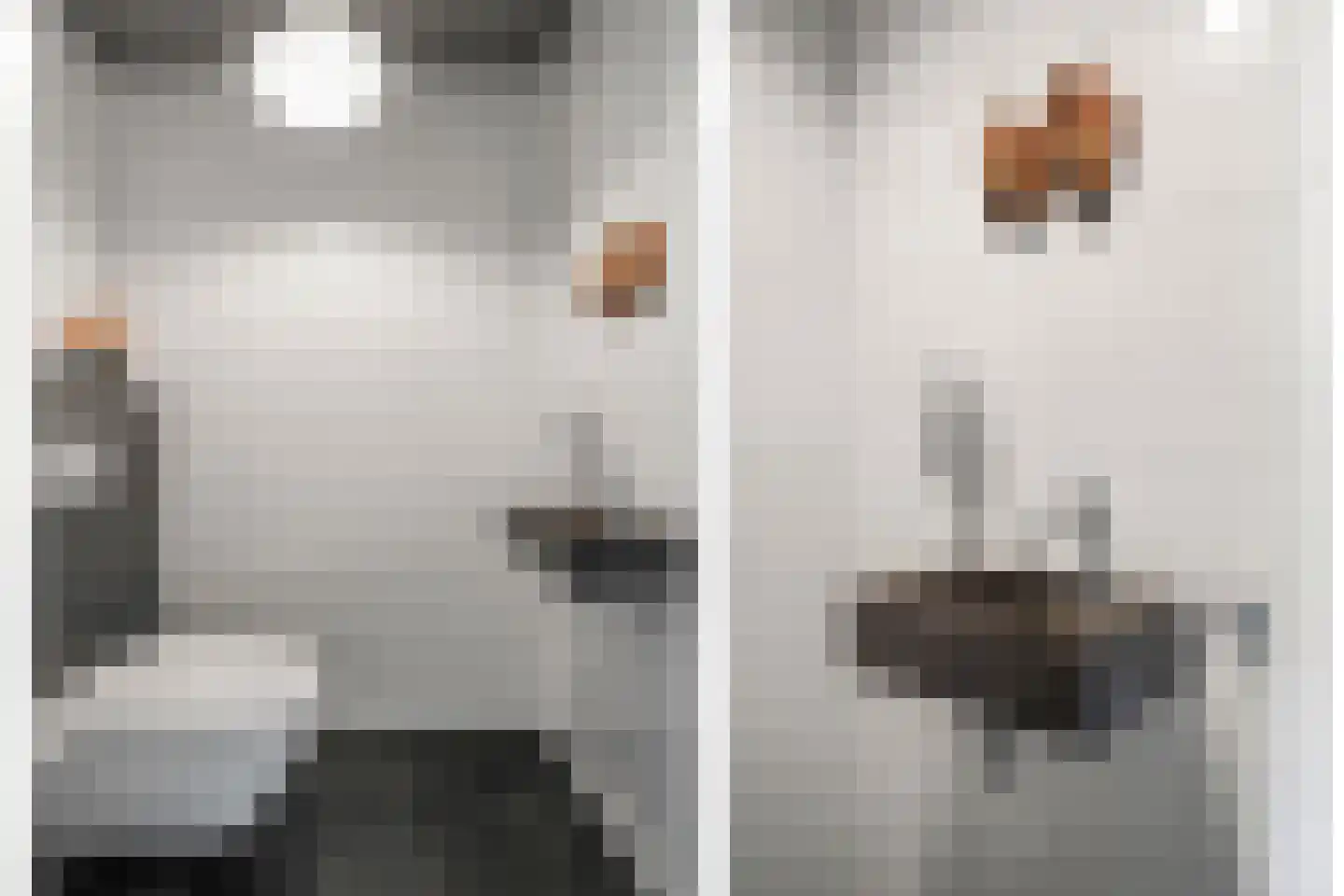 Atalantaberm 3 Houten thumbnail 49