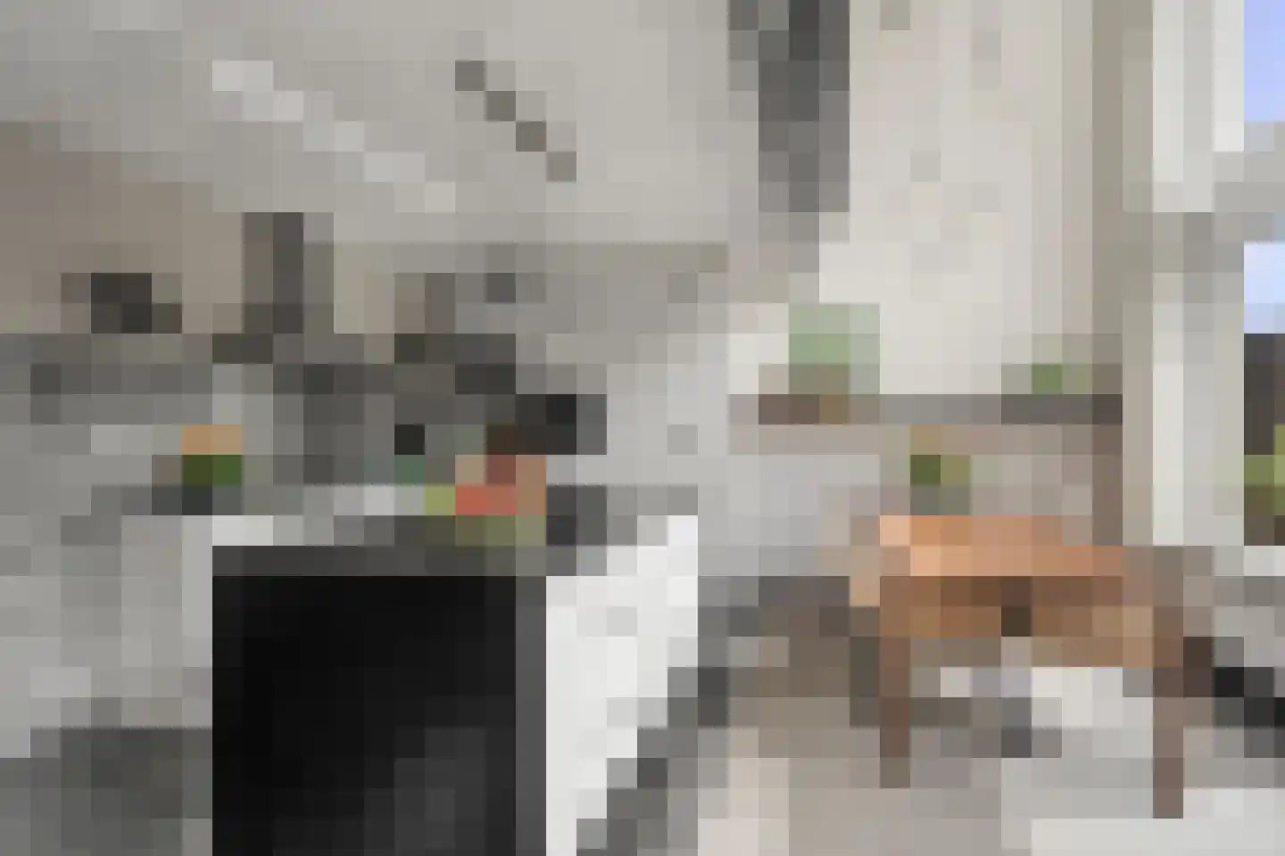Atalantaberm 3 Houten thumbnail 5