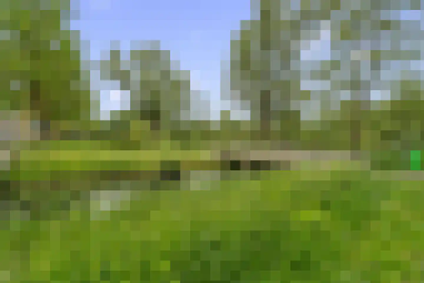 Atalantaberm 3 Houten thumbnail 51