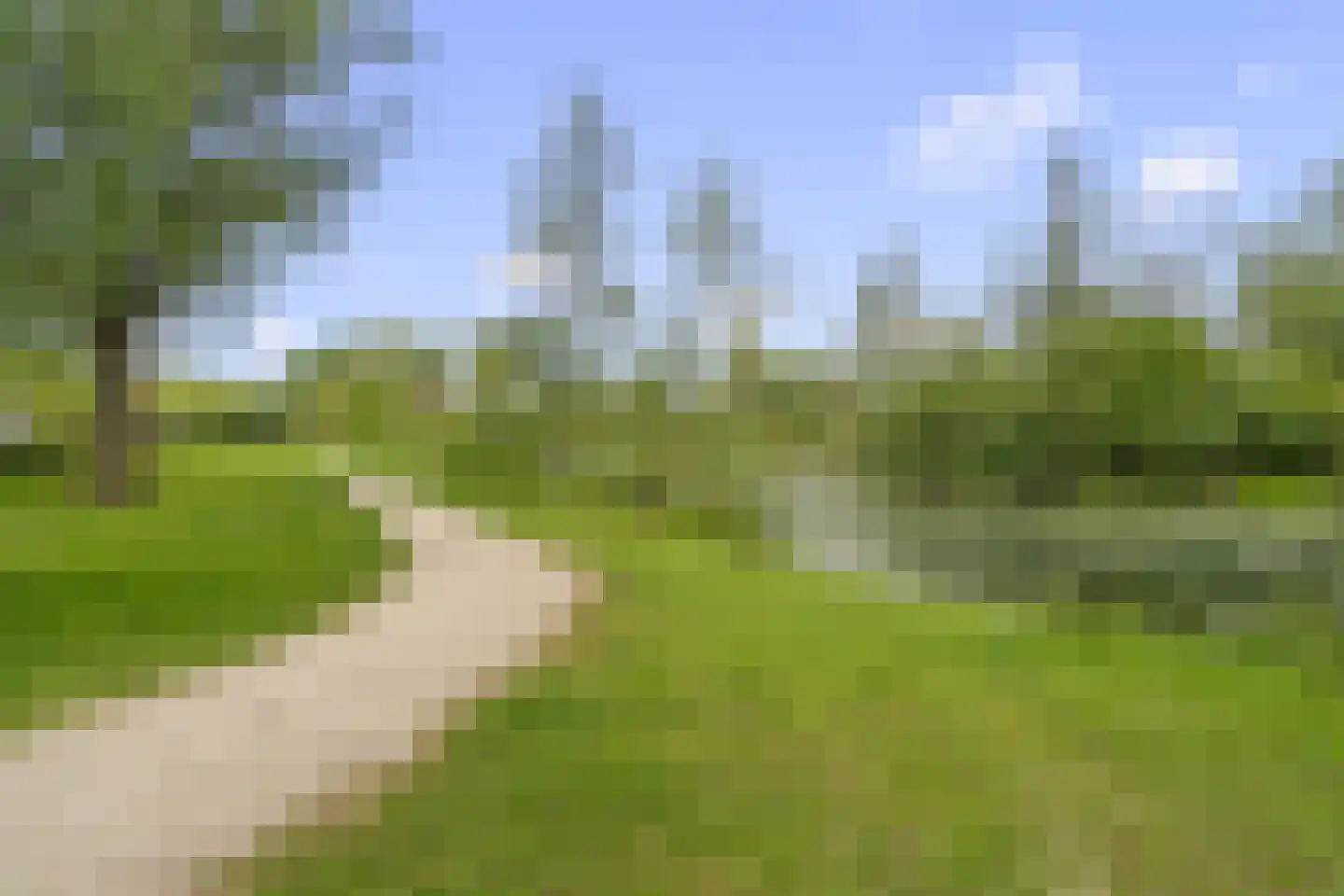 Atalantaberm 3 Houten thumbnail 52